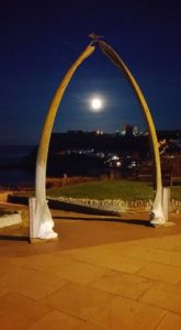 Photo of the Whalebones at night lit up
