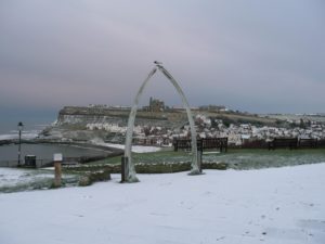 Photo of Whitby whalebones in winter